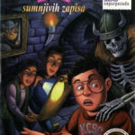 Jedan nordijski grad : slučaj sumnjivih zapisa