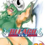 Bleach, Vol. 34