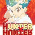 Hunter x Hunter, Vol. 26