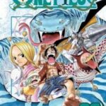 One Piece, Vol. 29