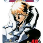 Bleach, Vol. 49