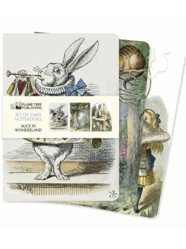 9781839647673 Alice in Wonderland Set of 3 Midi Notebooks - Slika 1
