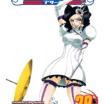 Bleach, Vol. 29