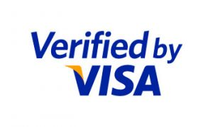 Pay with Visa logo