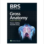 BRS Gross Anatomy Tenth edition, International Edition Board Review Series