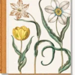 Besler, the Garden at Eichstätt